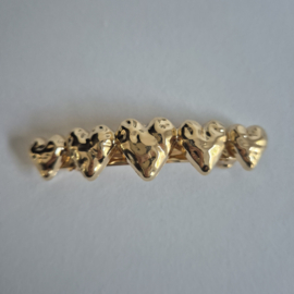 Haarklem Goud Hart