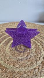 Haarclip Shining Star Paars