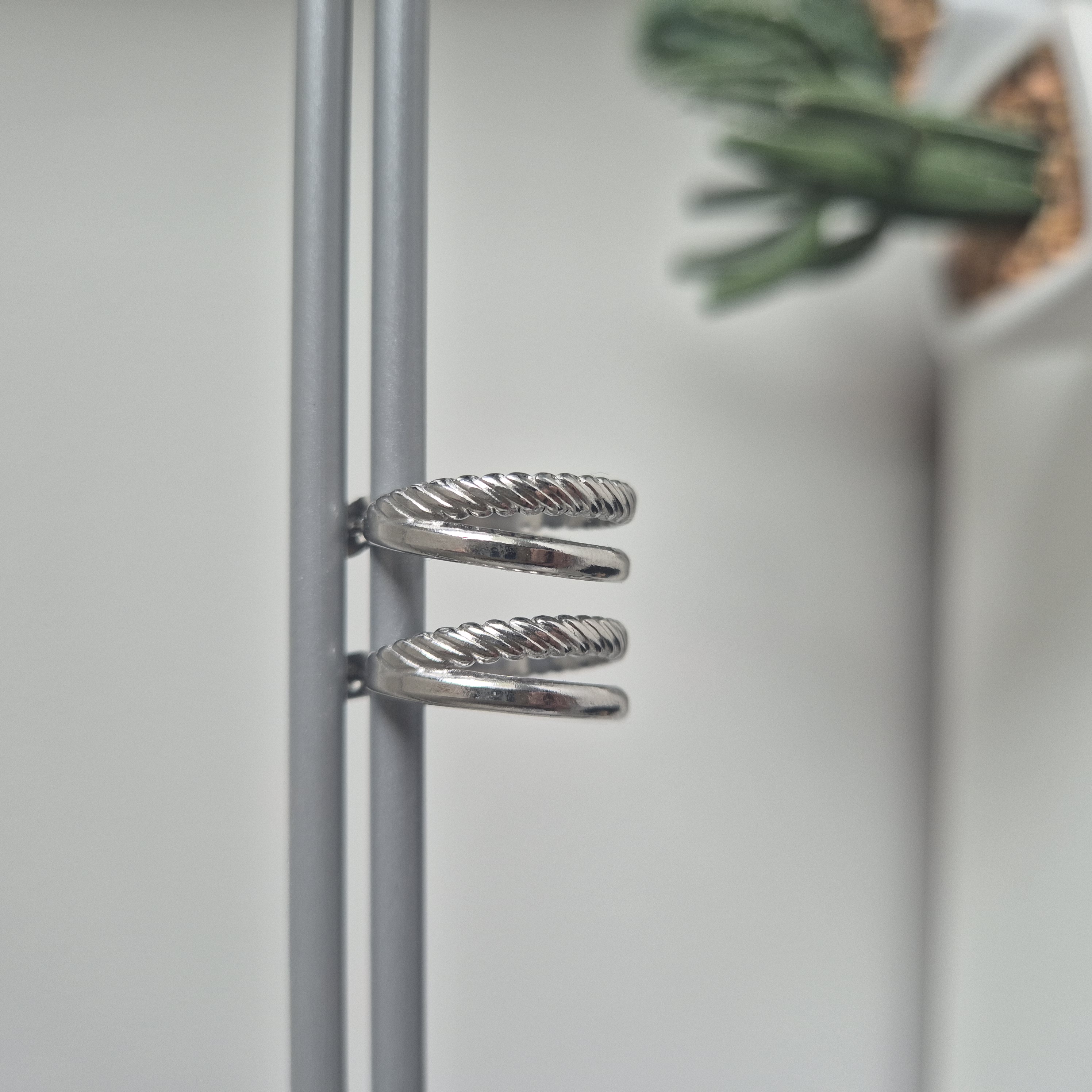 Oorbellen Dubbele Ring