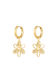 Oorbellen Wild Flower Goud