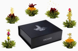 Theebloemen cadeauset "groene thee"