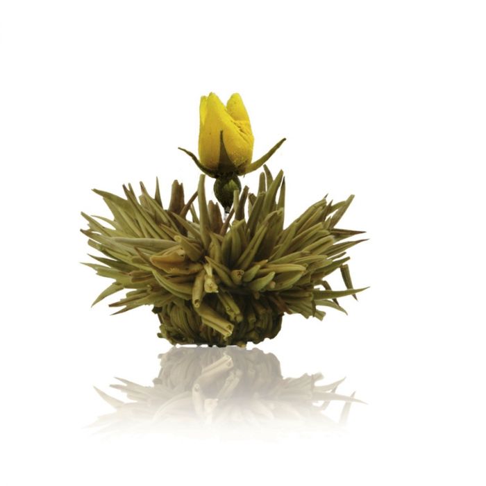 Theebloem (6 soorten)