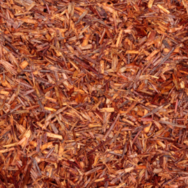 Rooibos