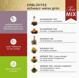 BloomingTea cadeau (Witte, groene en zwarte thee)
