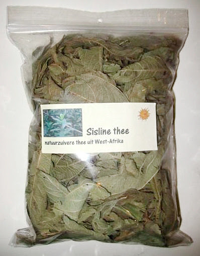 Sisline thee