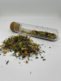 Glazen Infuser tube
