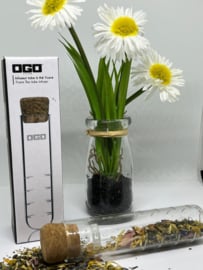 Glazen Infuser tube