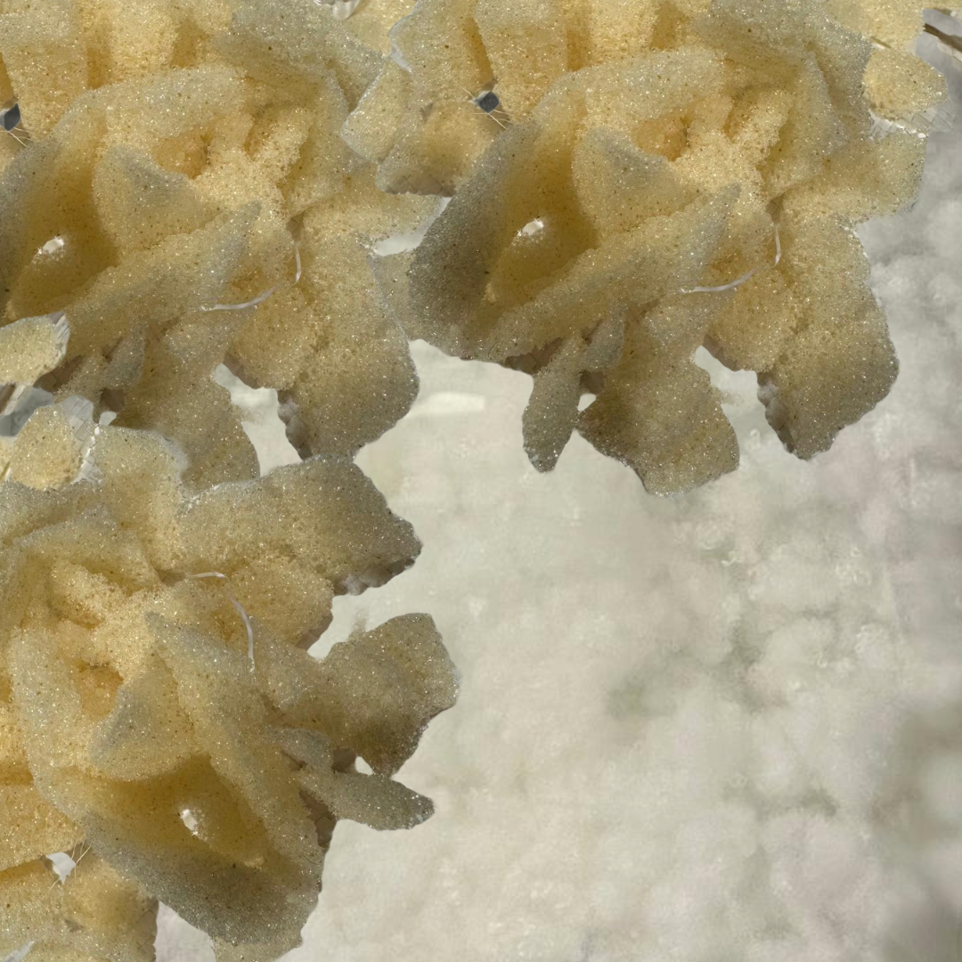 Nieuw op onze site: Memoryfoam binnenkussens – het alternatief voor veren! 🧡