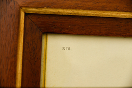 Vintage Audubon print in vintage lijst