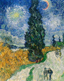 Van Gogh, Landweg in de Provence bij nacht