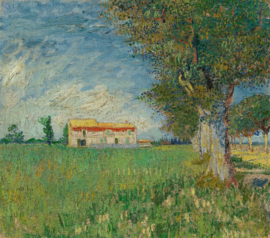 Van Gogh, Boerderij in het koren