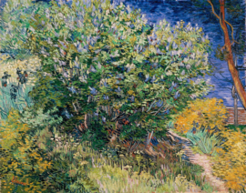 Van Gogh, Seringen