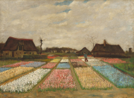 Van Gogh, Bollenvelden