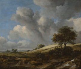 Van Ruisdael, Landschap met korenveld bij de Zuiderzee