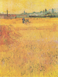 Van Gogh, Arles, uitzicht vanaf de korenvelden