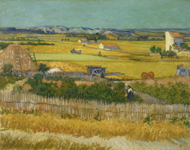Van Gogh, De oogst