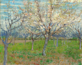 Van Gogh, Bloeiende fruittuin (De roze boomgaard)