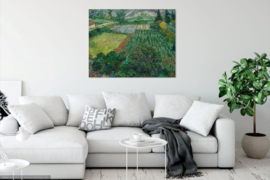Van Gogh, Klaproosveld