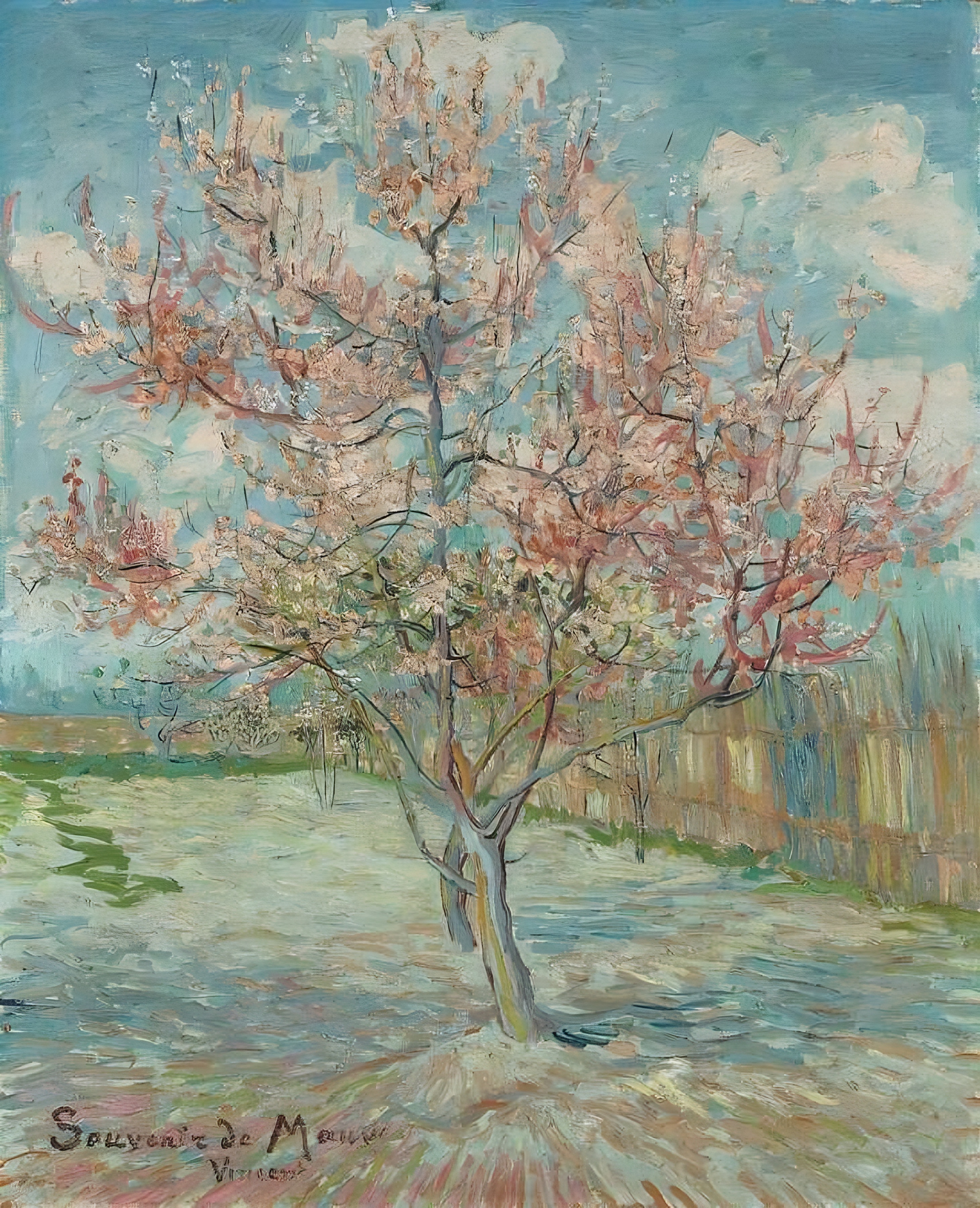 Van Gogh, Roze perzikbomen (Souvenir de Mauve)