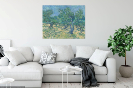 Van Gogh, Olijfgaard