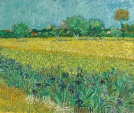 Van Gogh, Zicht op Arles met irissen