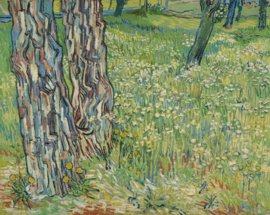 Van Gogh, Boomstammen in het gras