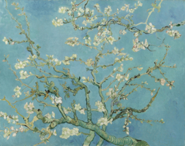 Van Gogh, Amandelbloesem