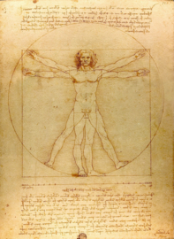 Da Vinci, De vitruviusman