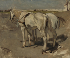 Breitner, Twee witte paarden