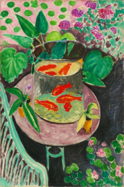 Matisse, Goudvis