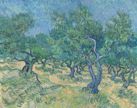 Van Gogh, Olijfgaard