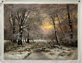 Apol, Bos bij winter
