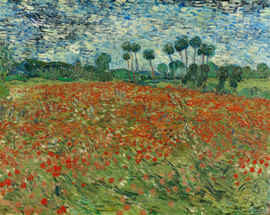 Van Gogh, Papaverveld