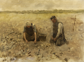 Mauve, Op het veld