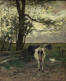 Mauve, De melkbocht 2