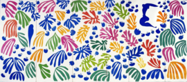 Matisse, De parkiet en de meermin