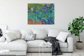 Van Gogh, Irissen
