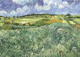 Van Gogh, Korenvelden 2