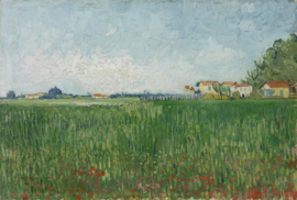 Van Gogh, Veld met klaprozen 2