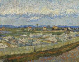 Van Gogh, Perzikbomen in bloei