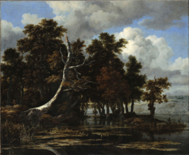 Van Ruisdael, Eiken bij een meer met waterlelies