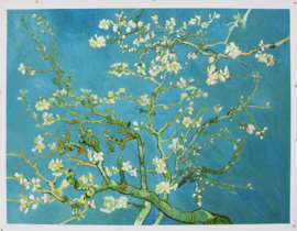 Van Gogh, Amandelbloesem