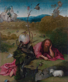 Bosch, Johannes de Doper in de wildernis
