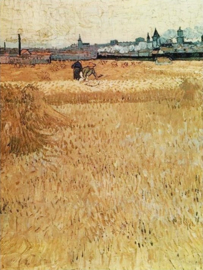 Van Gogh, Arles, uitzicht vanaf de korenvelden