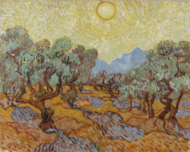 Van Gogh, Olijfbomen met gele lucht en zon