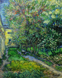 Van Gogh, De tuin van de inrichting in Saint-Remy