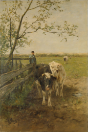 Mauve, De melkbocht