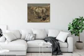 Breitner, Twee witte paarden