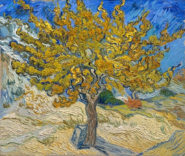 Van Gogh, Moerbeiboom