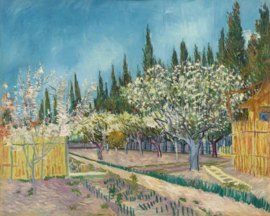 Van Gogh, Boomgaard tegen cipressen